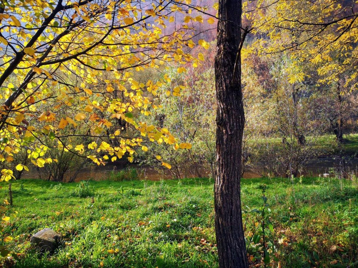Casute Zavoi Bulz Villa Dış mekan fotoğraf
