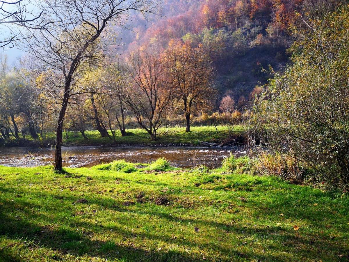 Casute Zavoi Bulz Villa Dış mekan fotoğraf