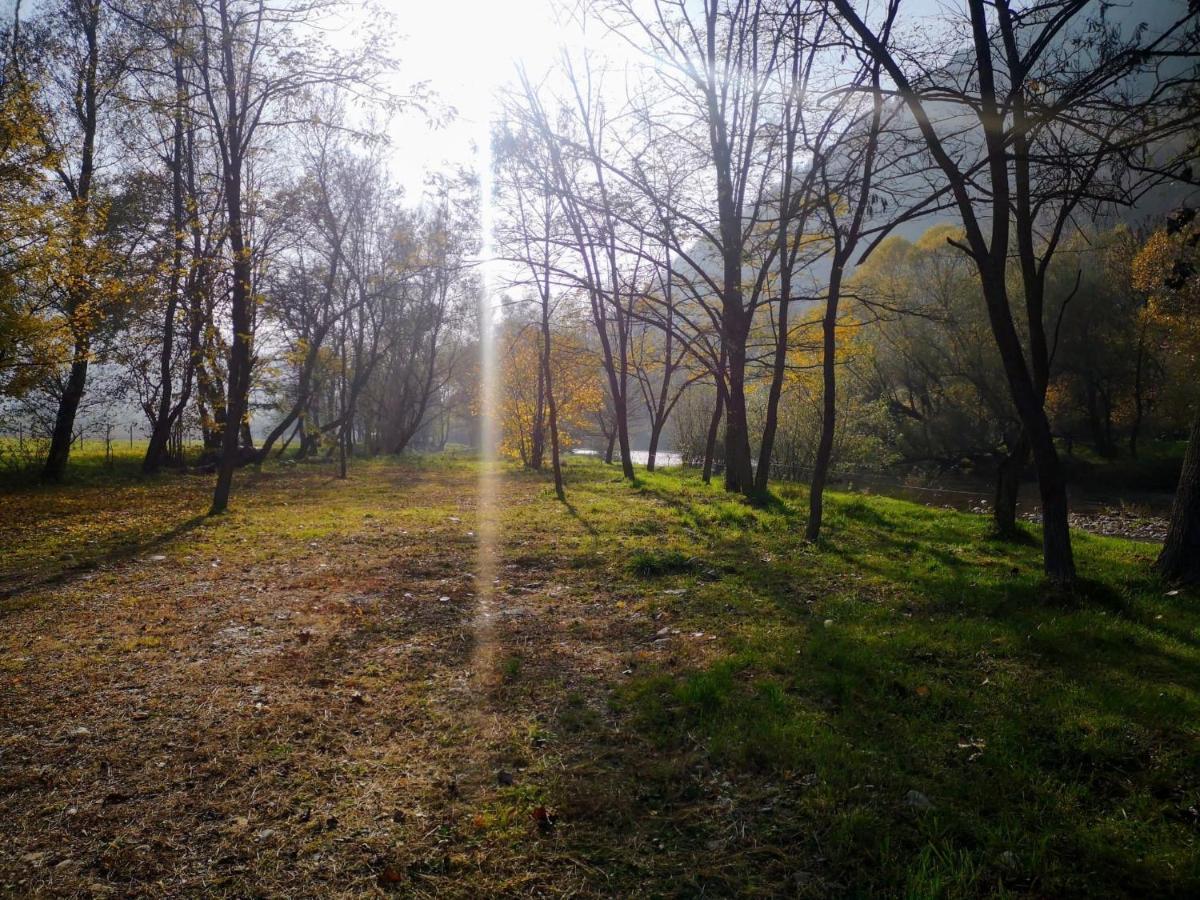 Casute Zavoi Bulz Villa Dış mekan fotoğraf