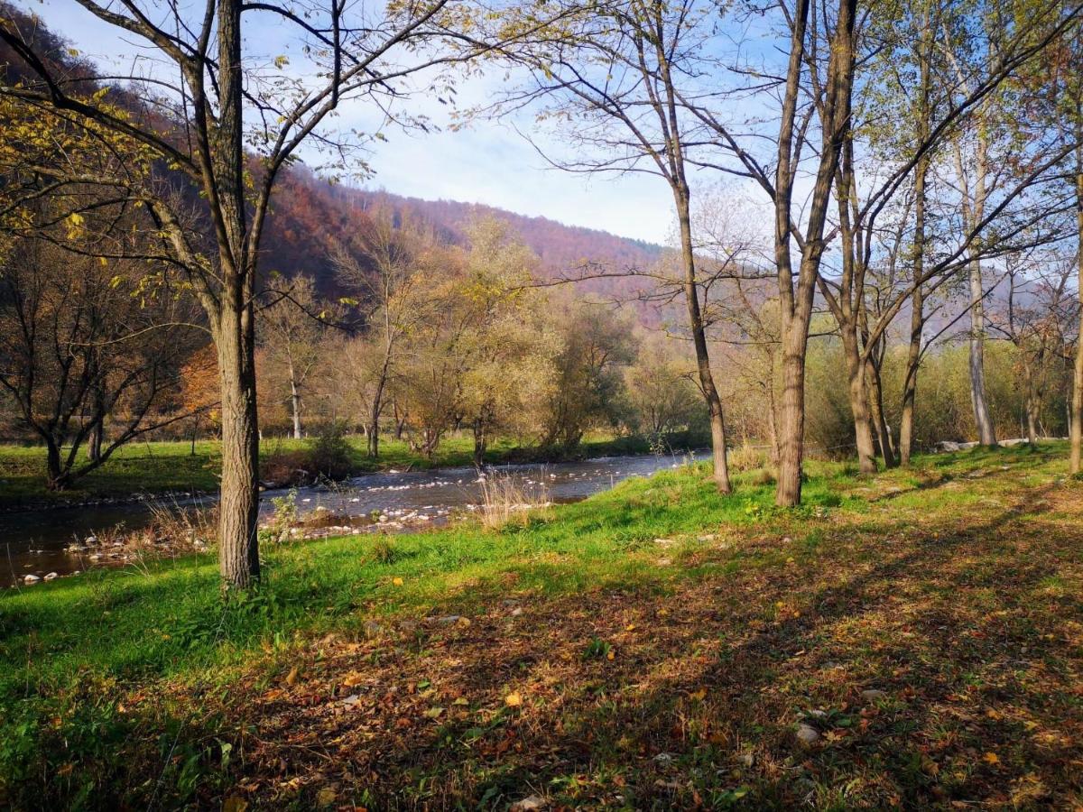 Casute Zavoi Bulz Villa Dış mekan fotoğraf