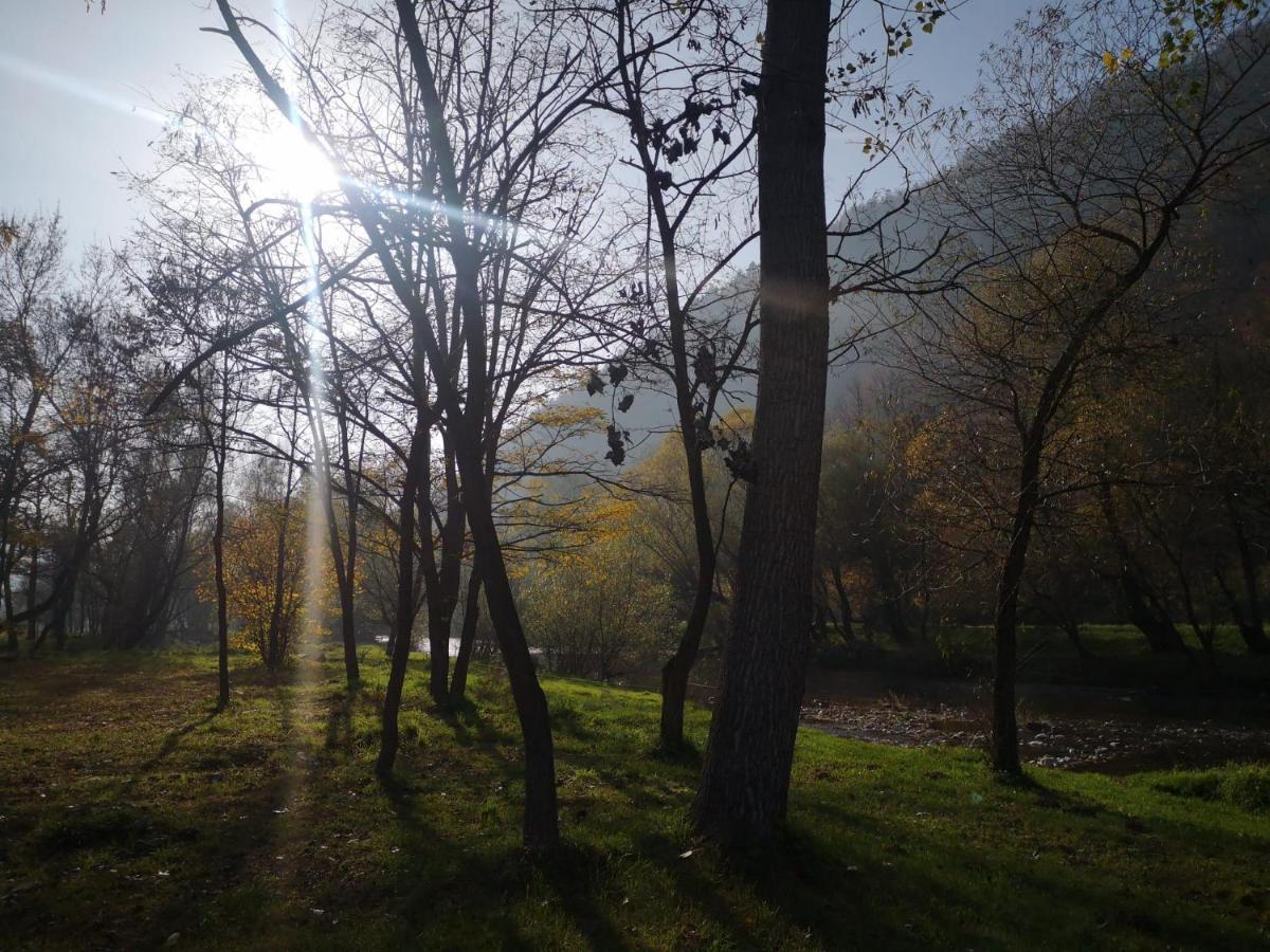 Casute Zavoi Bulz Villa Dış mekan fotoğraf