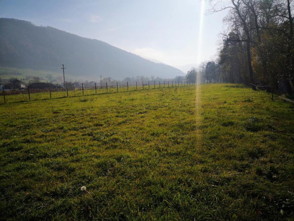 Casute Zavoi Bulz Villa Dış mekan fotoğraf