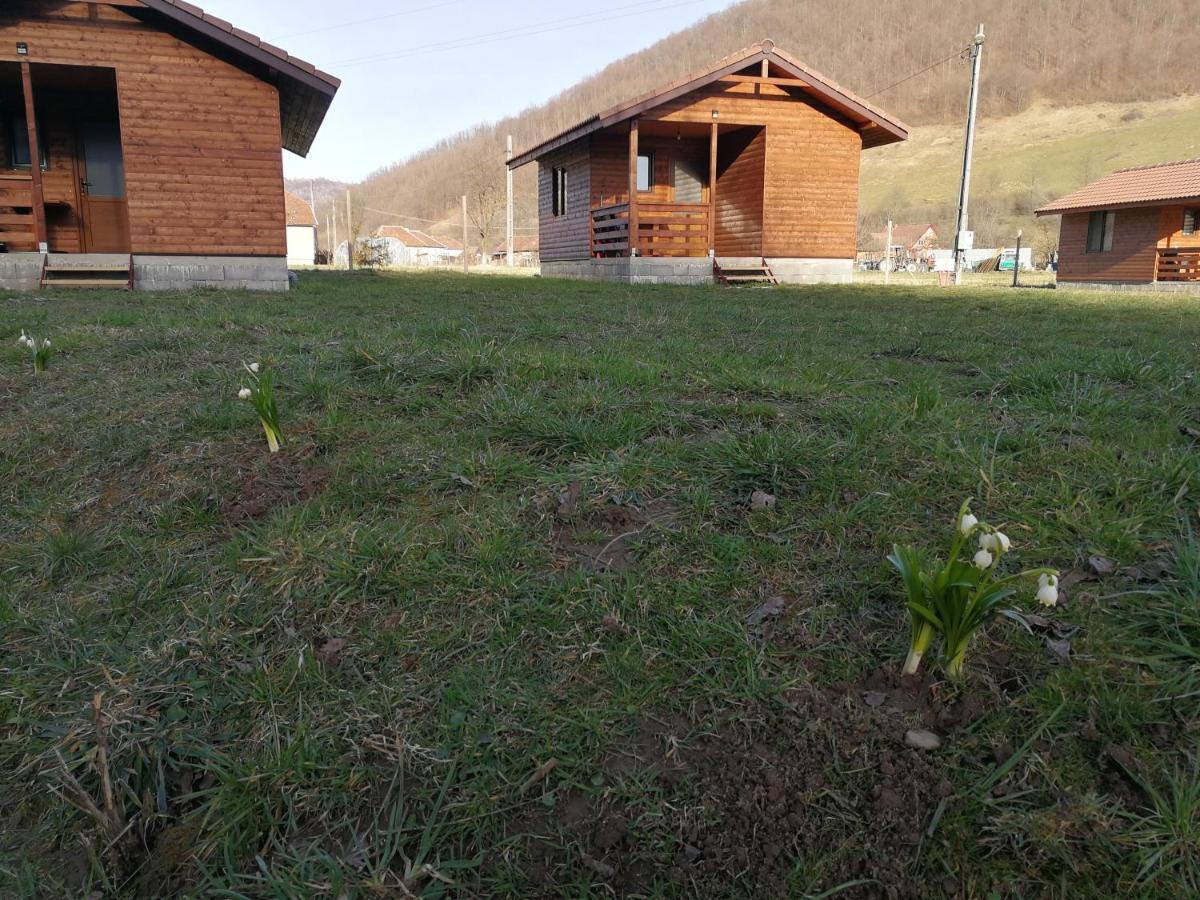 Casute Zavoi Bulz Villa Dış mekan fotoğraf