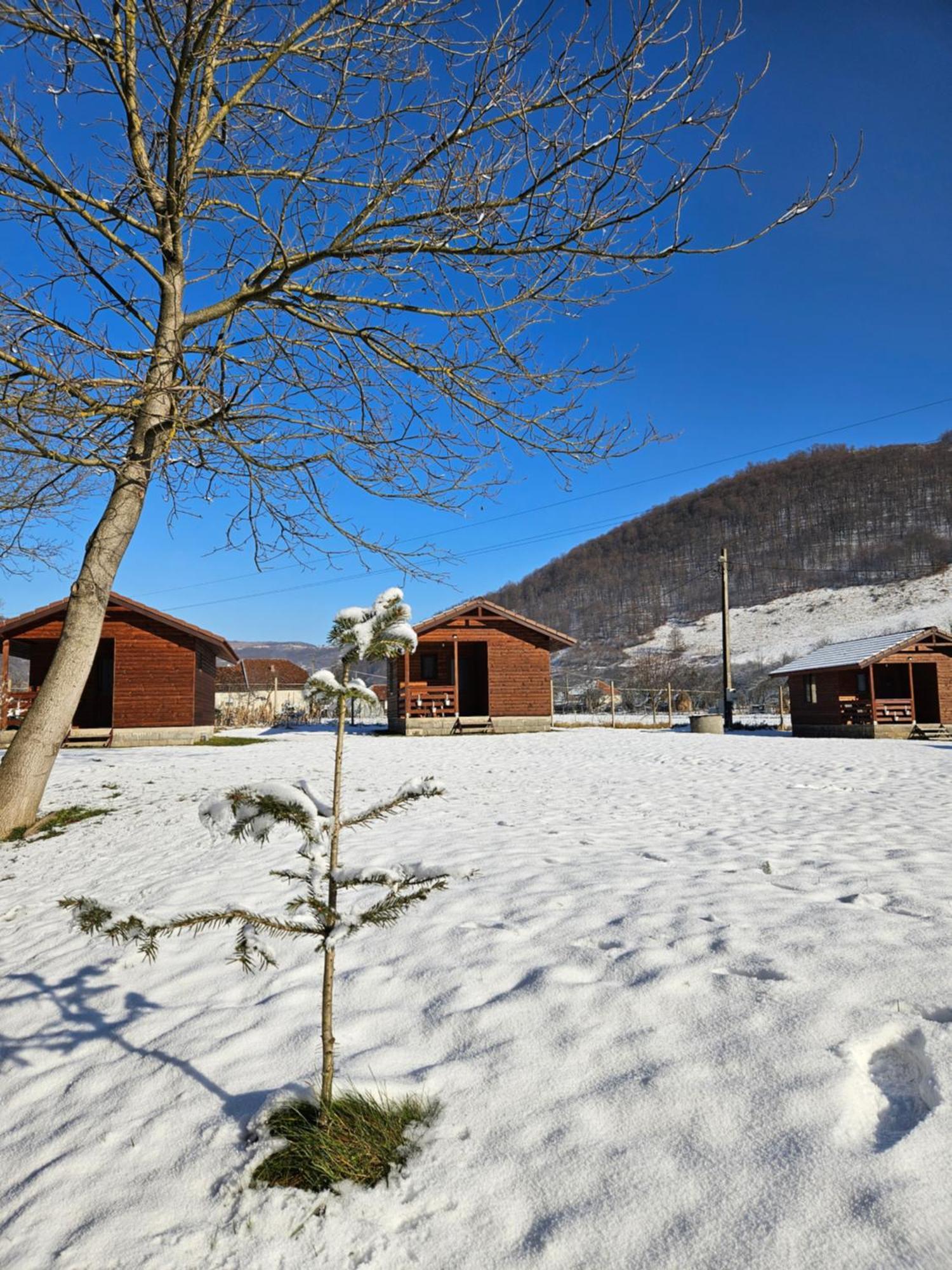 Casute Zavoi Bulz Villa Dış mekan fotoğraf