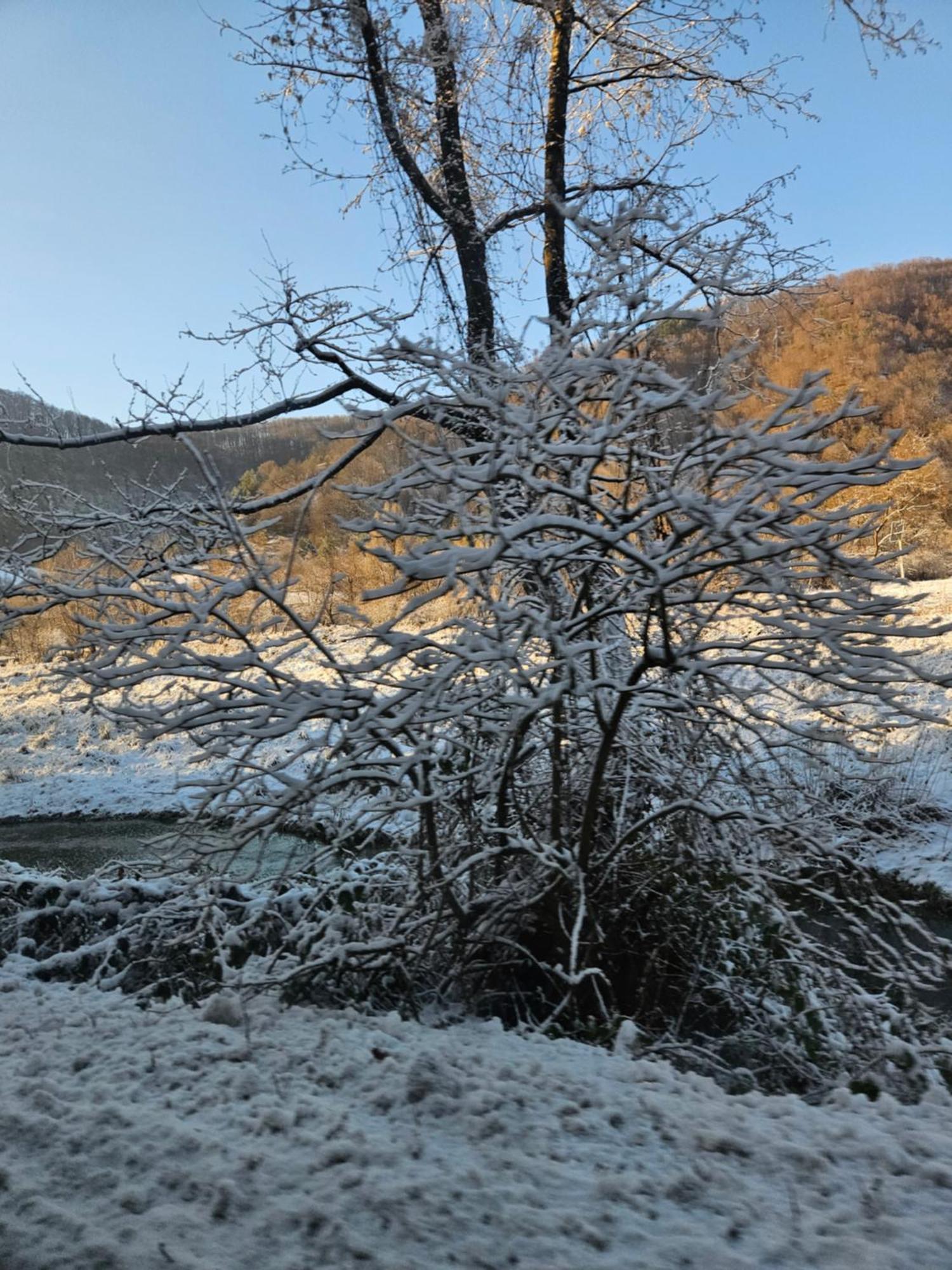 Casute Zavoi Bulz Villa Dış mekan fotoğraf