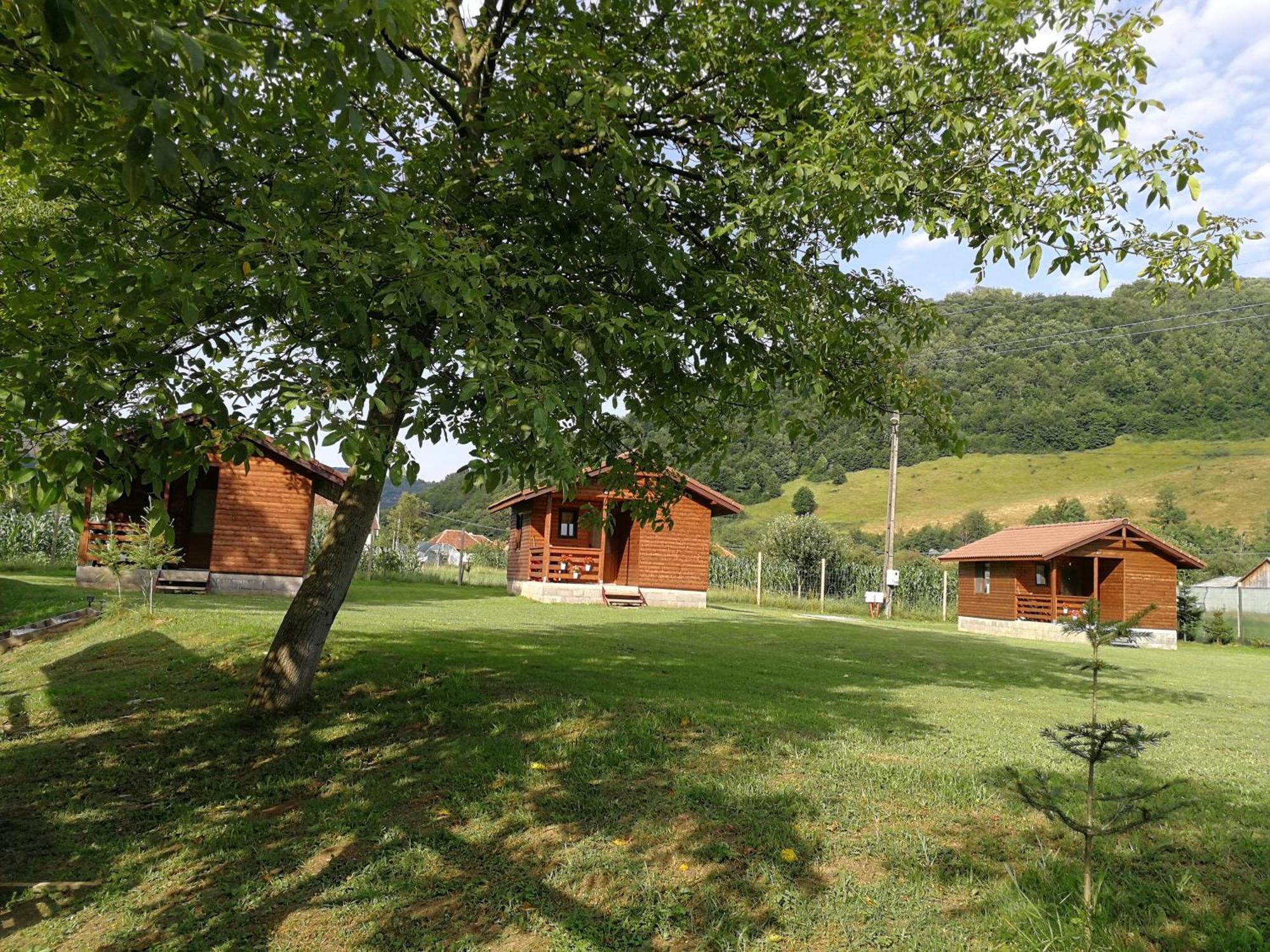 Casute Zavoi Bulz Villa Dış mekan fotoğraf