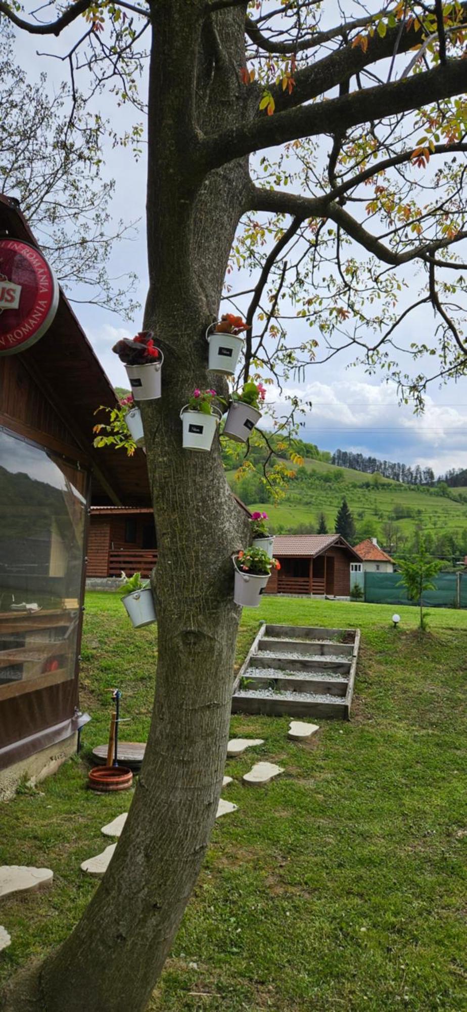 Casute Zavoi Bulz Villa Dış mekan fotoğraf