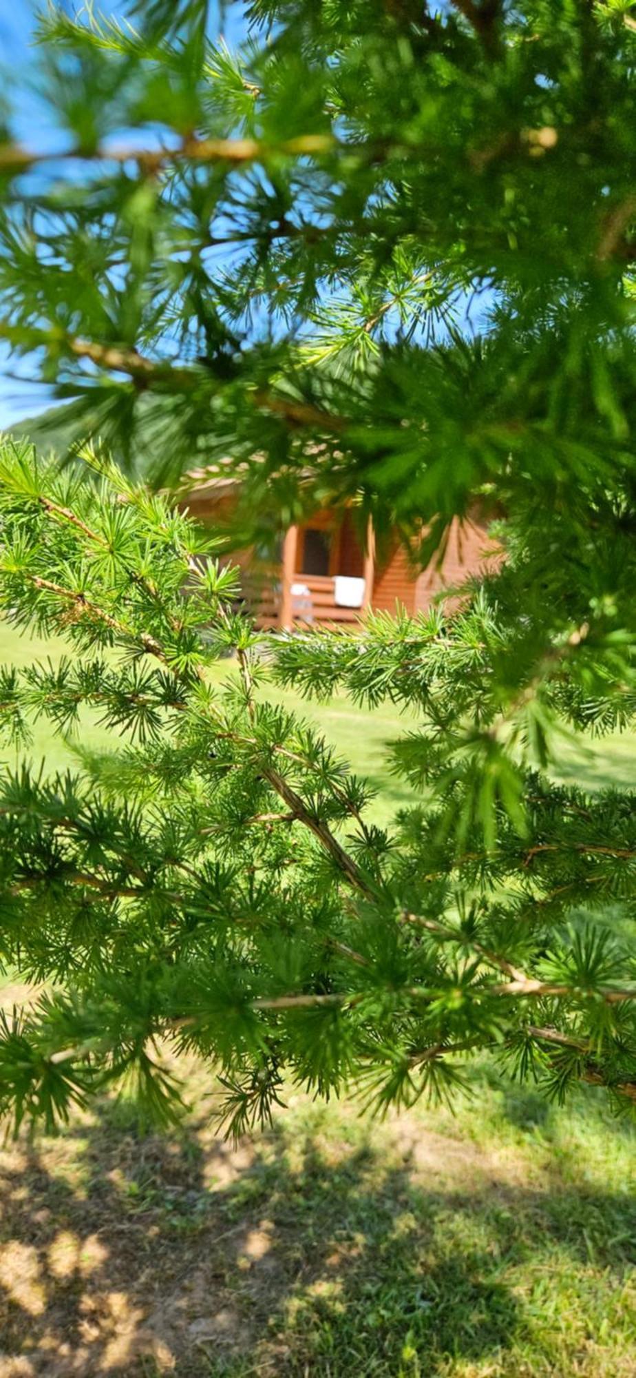 Casute Zavoi Bulz Villa Dış mekan fotoğraf
