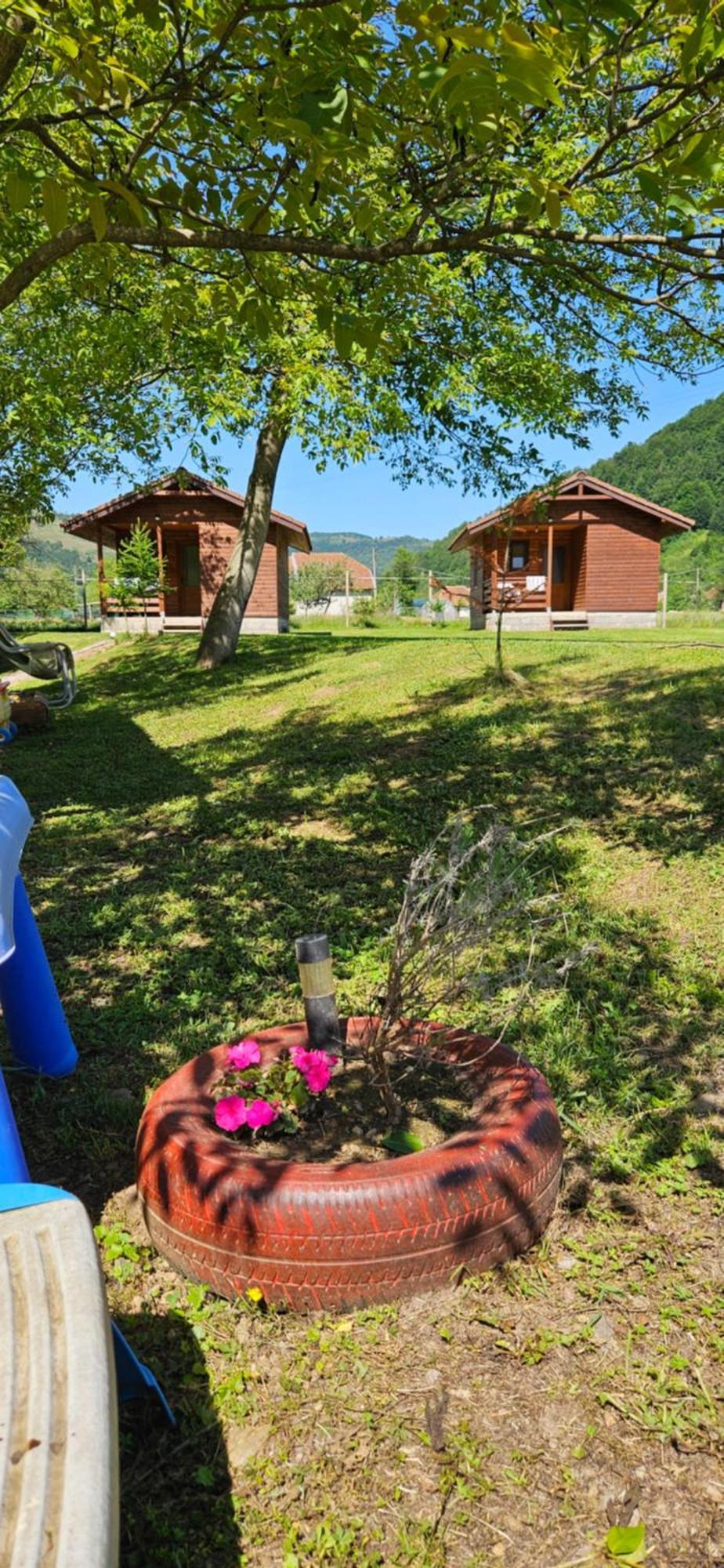 Casute Zavoi Bulz Villa Dış mekan fotoğraf
